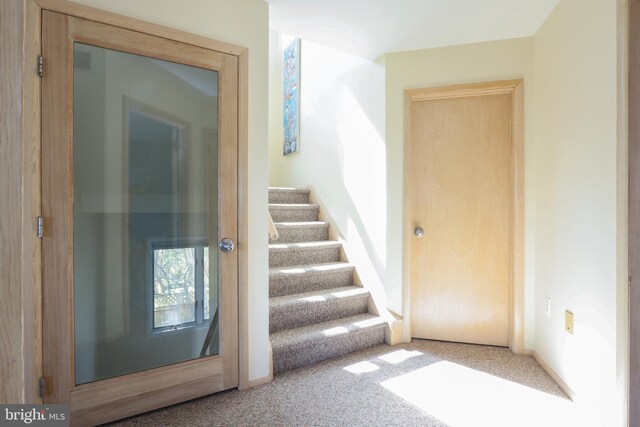 stairway with carpet floors