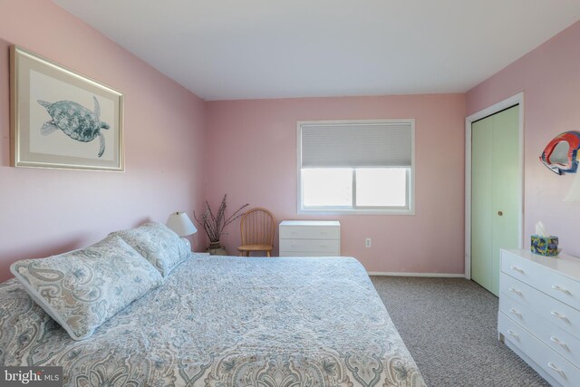 carpeted bedroom featuring a closet