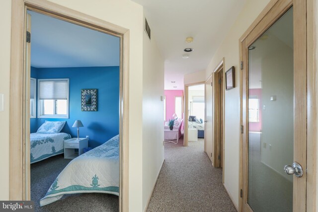 hallway with carpet floors