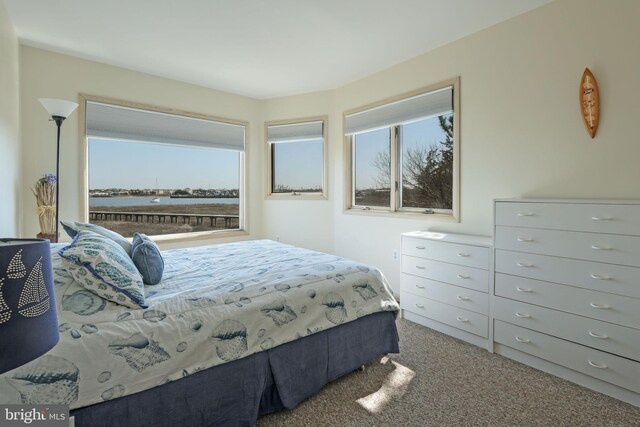 bedroom featuring carpet floors and a water view