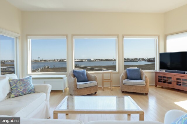 living room with light wood-type flooring