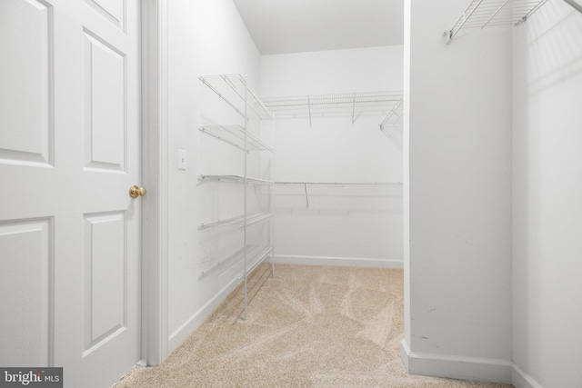 walk in closet with light carpet