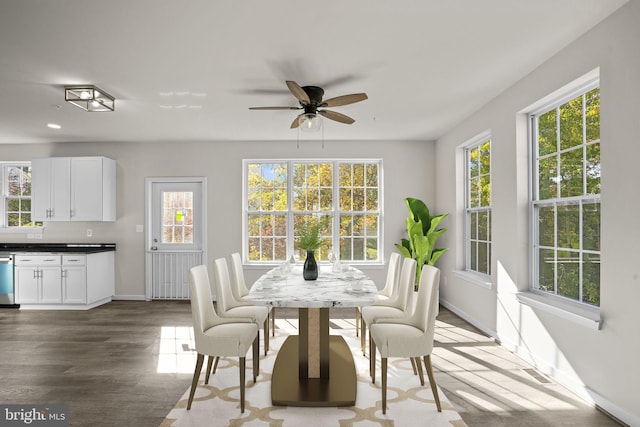 dining area featuring hardwood / wood-style floors, a healthy amount of sunlight, and ceiling fan