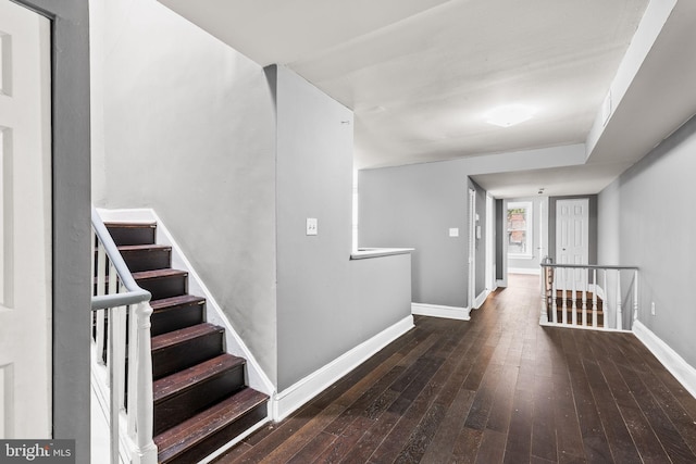 hall featuring dark wood-type flooring