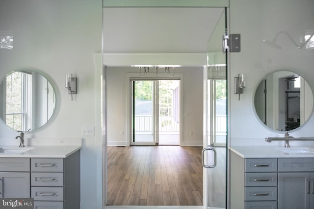 bathroom with vanity and hardwood / wood-style flooring