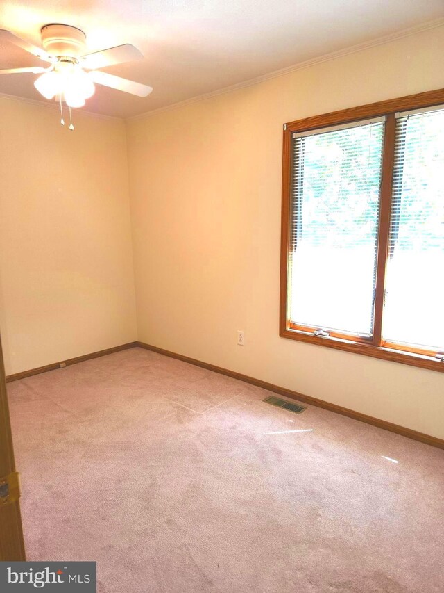 carpeted spare room featuring crown molding and ceiling fan