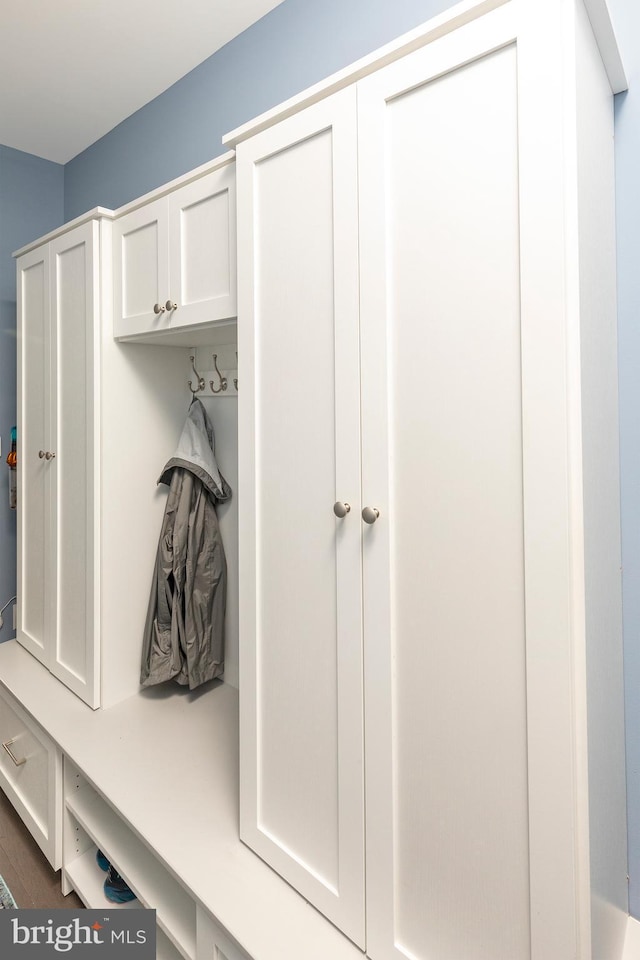 mudroom with dark wood-type flooring