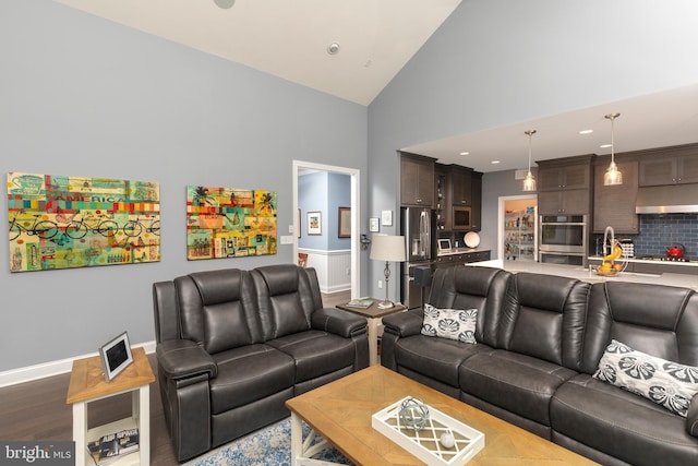 living room featuring wood-type flooring and high vaulted ceiling