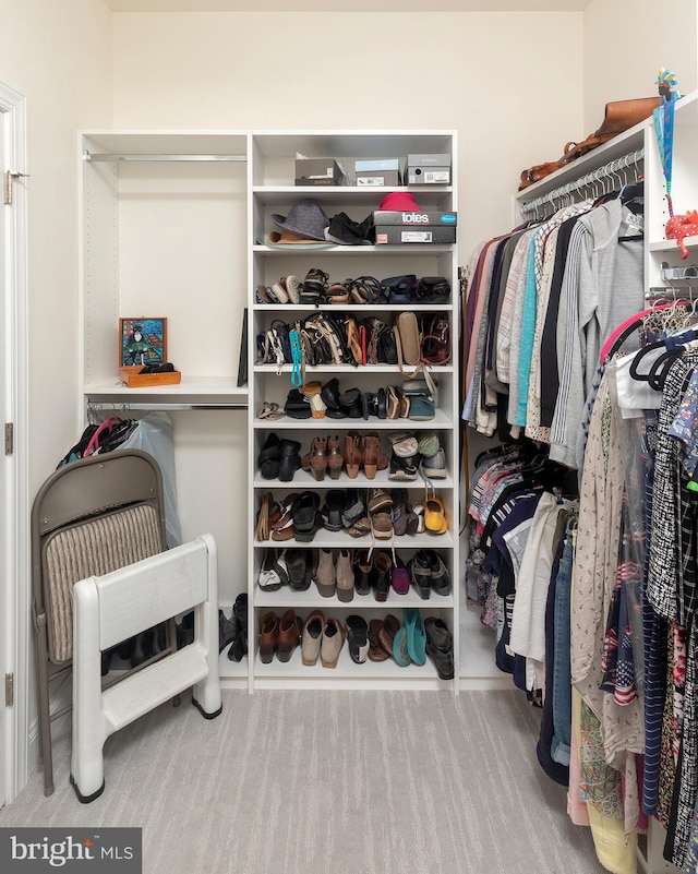 spacious closet featuring light carpet