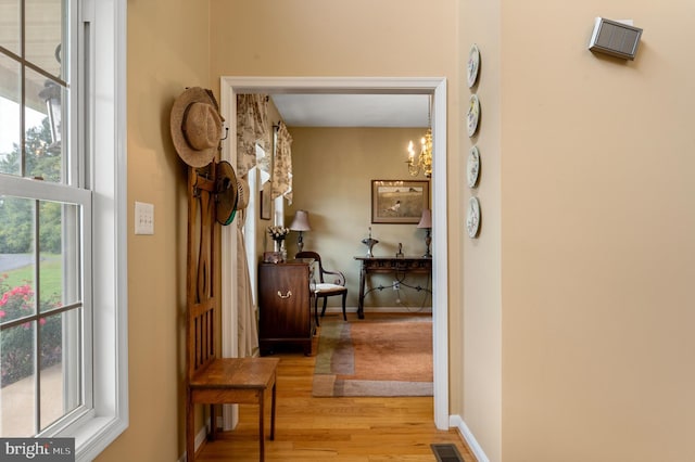 hallway featuring light hardwood / wood-style flooring, a chandelier, and a wealth of natural light