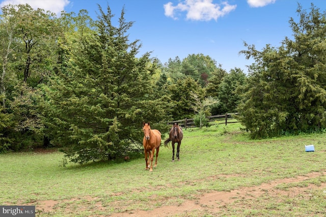 view of yard with a rural view