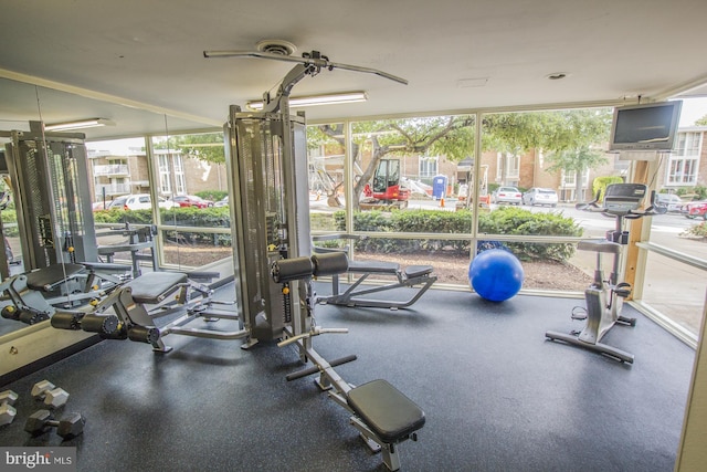 workout area featuring floor to ceiling windows