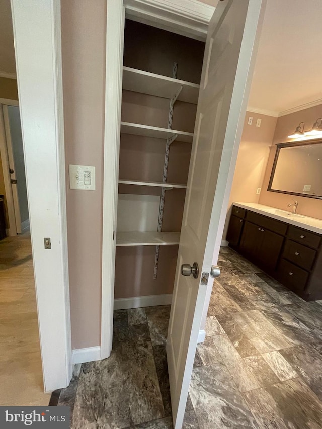 closet with sink