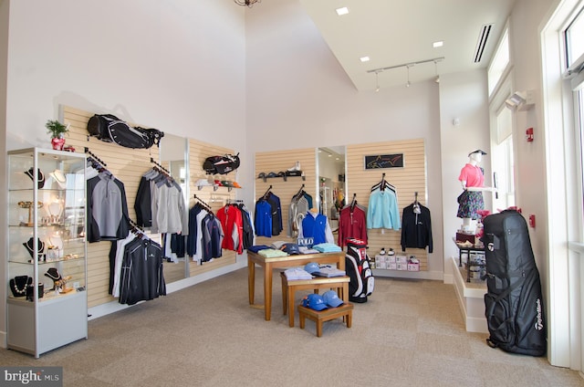 interior space featuring light carpet, a high ceiling, track lighting, and wooden walls