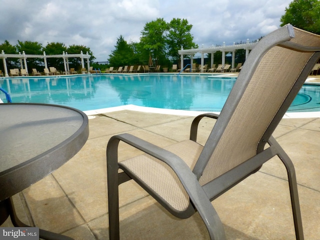 view of swimming pool with a patio