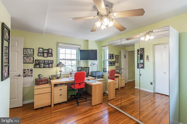 office area featuring ceiling fan and wood-type flooring