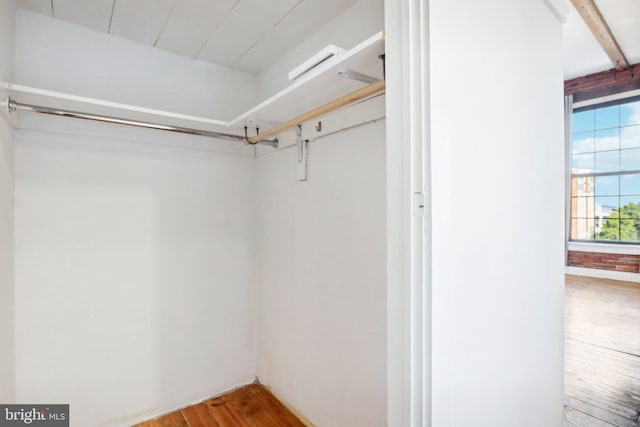 spacious closet featuring wood-type flooring