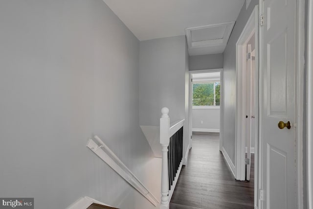 hallway with dark hardwood / wood-style flooring