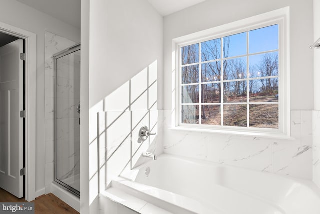 bathroom with wood-type flooring, a wealth of natural light, and plus walk in shower