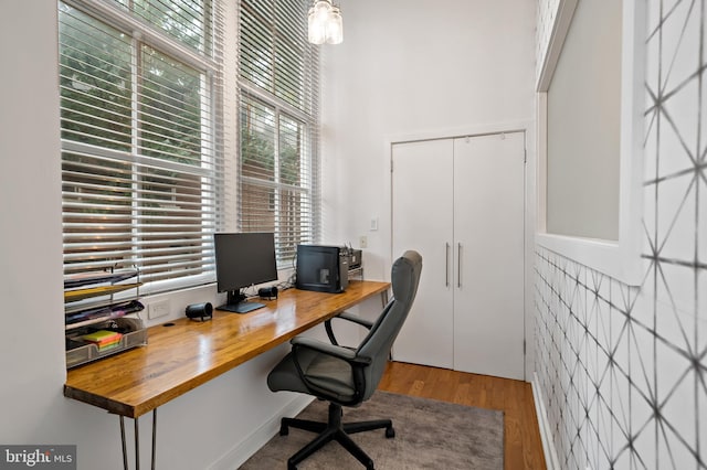 home office featuring wood-type flooring