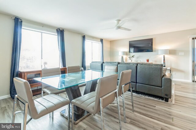 dining room with ceiling fan and light hardwood / wood-style flooring