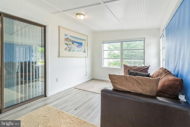 living room featuring light hardwood / wood-style floors