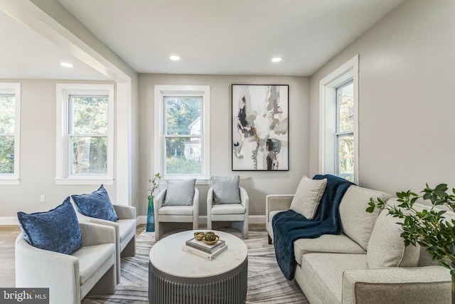 living room featuring light hardwood / wood-style flooring