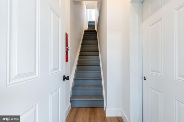 staircase with wood-type flooring