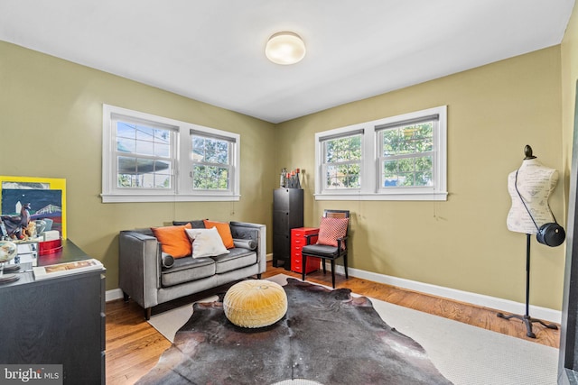 living area with light hardwood / wood-style flooring