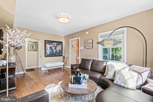 living room featuring wood-type flooring