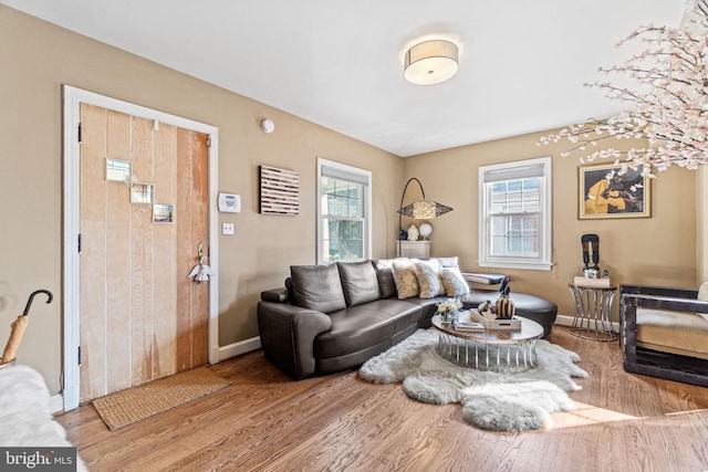 living room with wood-type flooring