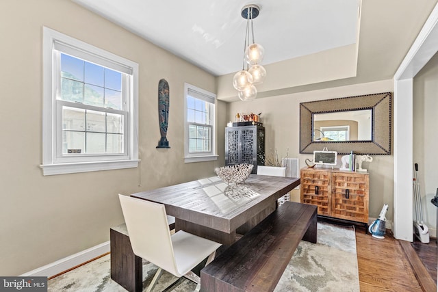 dining room with hardwood / wood-style flooring