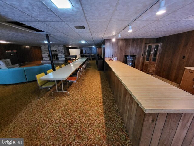 kitchen with sink, track lighting, and wooden walls