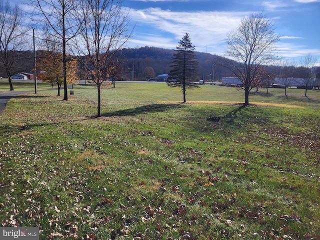 133 Morral Dr, Everett, PA 15537 - view of green lawn