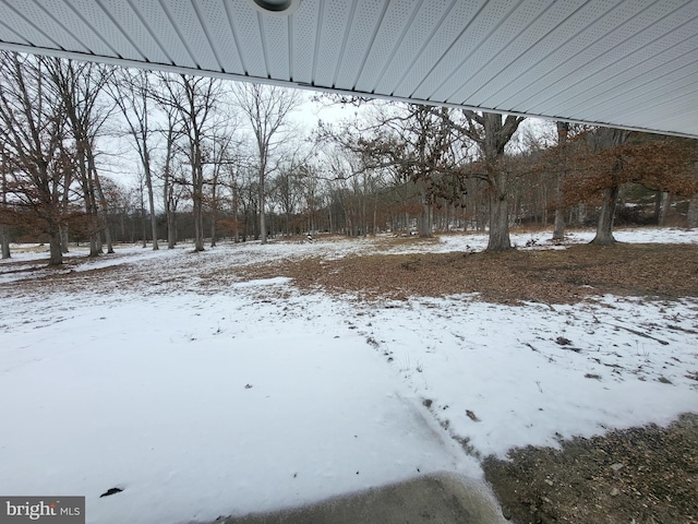 view of yard covered in snow