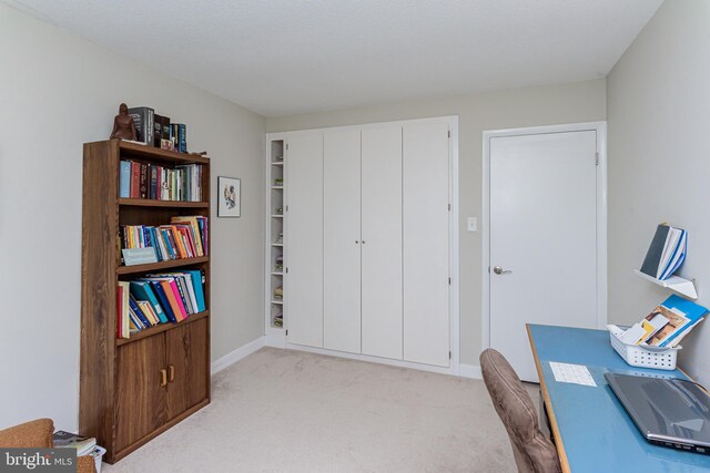 office featuring light colored carpet