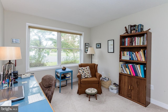 view of carpeted office space