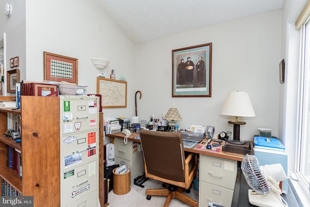 office space featuring light carpet, a textured ceiling, and vaulted ceiling