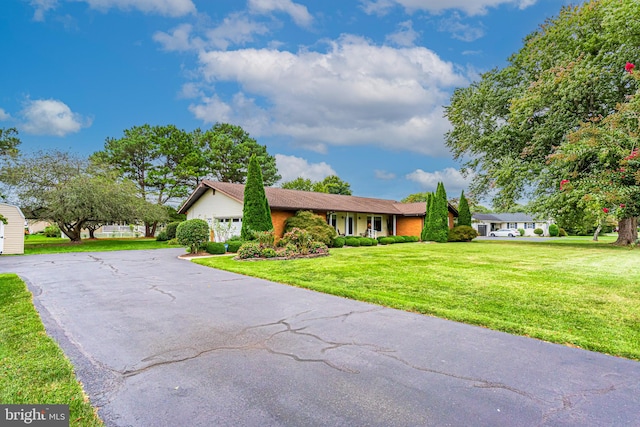 ranch-style house with a front lawn