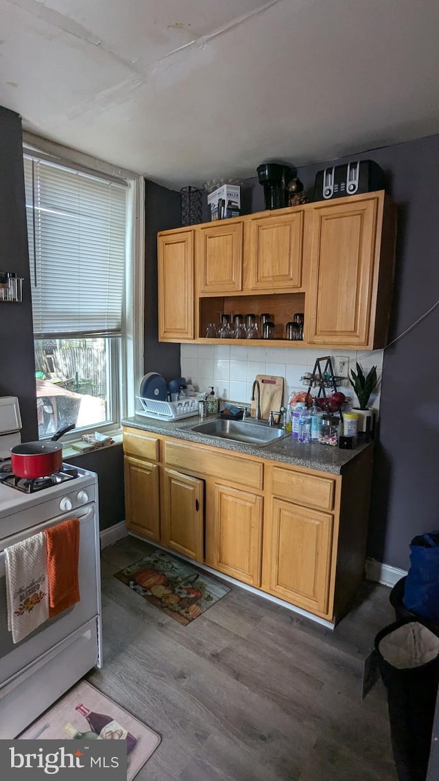 kitchen with sink, hardwood / wood-style floors, tasteful backsplash, and white stove