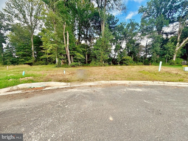 Listing photo 2 for Doc Ct Lot 71, Felton DE 19943