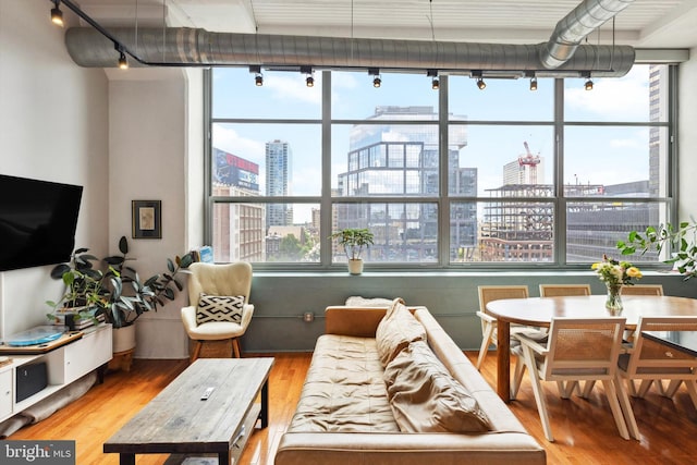 living area featuring a city view, track lighting, and light wood finished floors