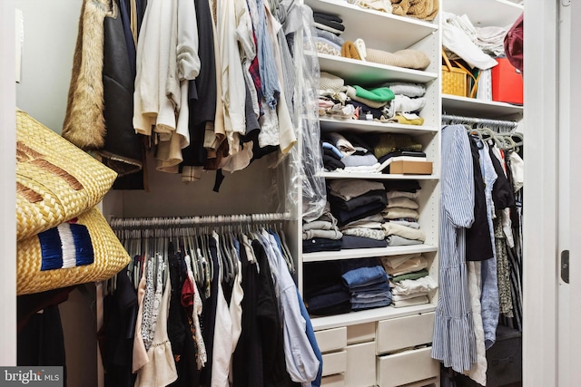 view of walk in closet