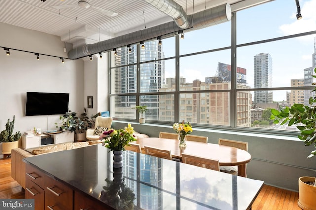 interior space with a wealth of natural light, a view of city, and light wood finished floors