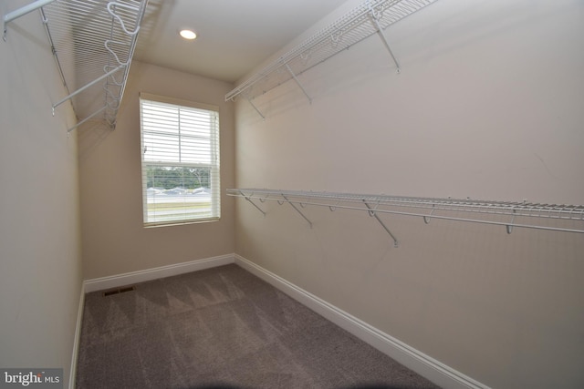 35332 Wright Way, Millsboro, DE 19966 - spacious closet featuring visible vents and carpet flooring