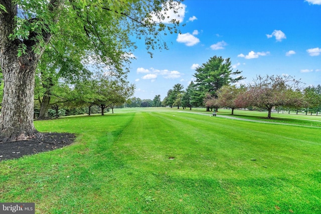 view of community featuring a lawn