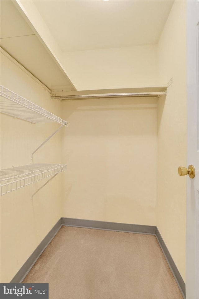 walk in closet with light colored carpet