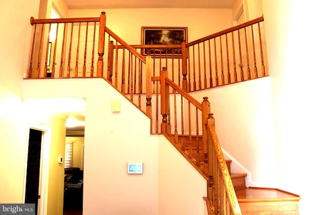 stairs with wood-type flooring