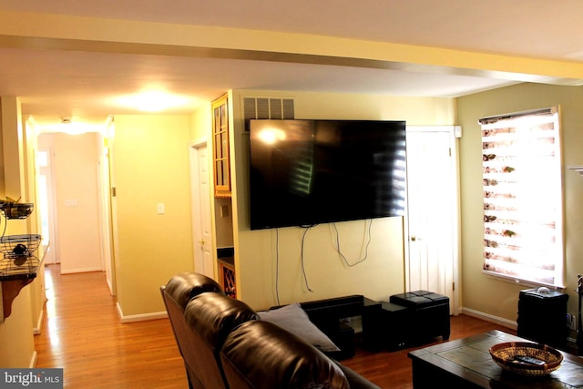 living room featuring hardwood / wood-style floors and a wealth of natural light