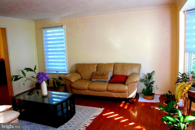 living room featuring wood-type flooring, a textured ceiling, and ornamental molding